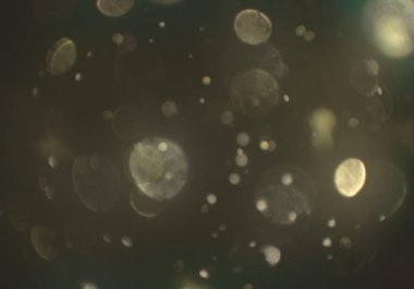 bokeh ile sanat soyut arka plan 