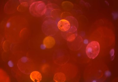 bokeh ile sanat soyut arka plan 