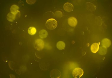 soyut arkaplan, kopyalama alanı