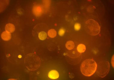 Bokeh ile soyut arkaplan