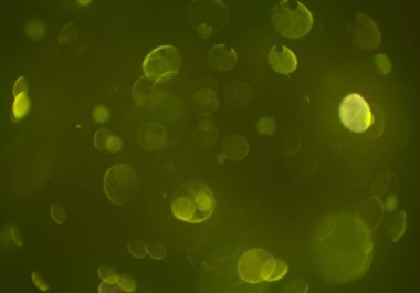 Bokeh ile soyut arkaplan