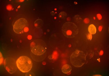 metin veya görüntü için alan ile bokeh arka plan