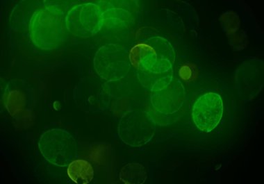 soyut arkaplan, kopyalama alanı