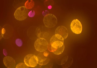 bokeh abstact arka plan ile galaksi