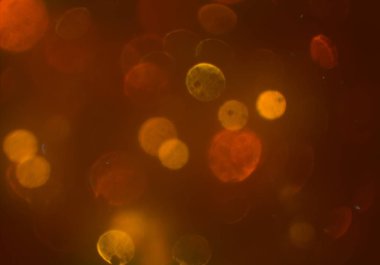 bokeh ile sanat soyut arka plan 