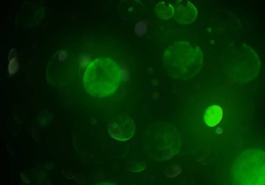 parlak bokeh ışıkları ile dijital duvar kağıdı 