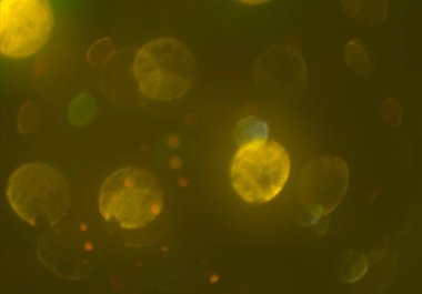 bokeh ile sanat soyut arka plan 