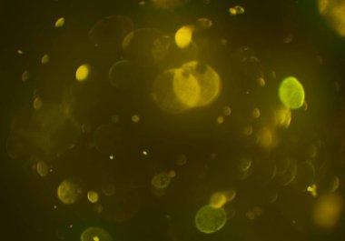 bokeh ile sanat soyut arka plan 