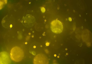 soyut bulanık bokeh arka plan, kopyalama alanı 