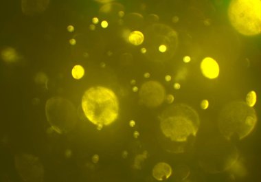 bokeh ve metin için alan ile soyut duvar kağıdı