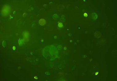 kopya alanı ile bokeh ışıkları dijital arka plan