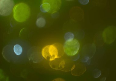 bokeh ile sanat soyut arka plan 