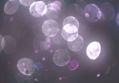 metin veya görüntü için alan ile bokeh arka plan