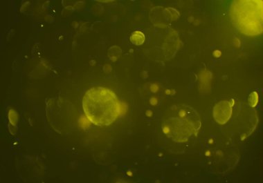 bokeh ile sanat soyut arka plan 