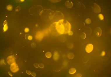 bokeh abstact arka plan ile galaksi