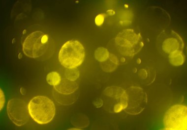 bokeh ile sanat soyut arka plan 