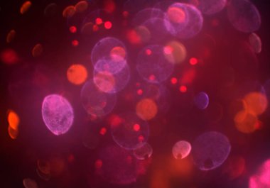 bokeh ve metin için alan ile soyut duvar kağıdı