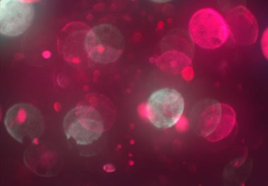 Bokeh ile soyut arkaplan