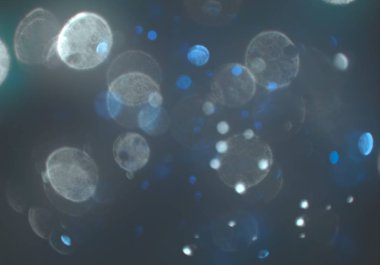 parlak bokeh ışıkları ile dijital duvar kağıdı 