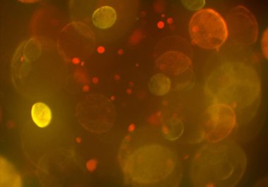 bokeh abstact arka plan ile galaksi