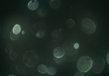 Tasarımınız için parlak bokeh arka plan