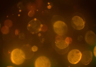 bokeh abstact arka plan ile galaksi