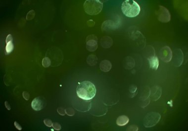 soyut bulanık bokeh arka plan, kopyalama alanı 