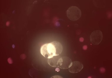 parlak bokeh ışıkları ile dijital duvar kağıdı 