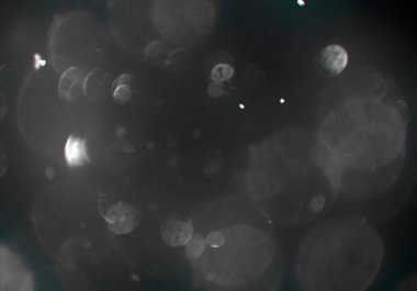 soyut arkaplan, kopyalama alanı