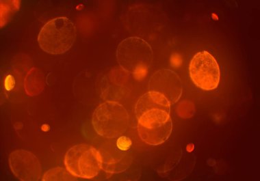 bokeh abstact arka plan ile galaksi