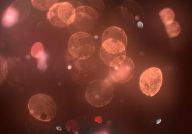 parlak bokeh ışıkları ile dijital duvar kağıdı 