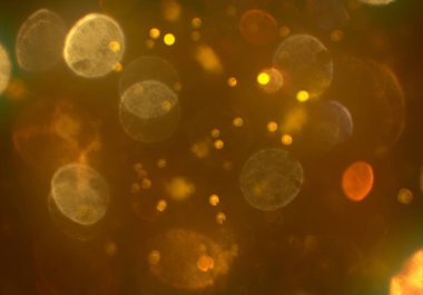 soyut arkaplan, kopyalama alanı