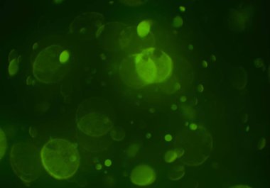 Tasarımınız için parlak bokeh arka plan