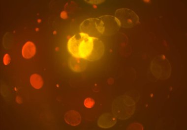 Bokeh ile soyut arkaplan