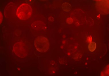 bokeh abstact arka plan ile galaksi