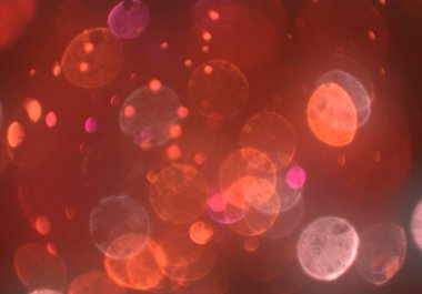 parlak bokeh ışıkları ile dijital duvar kağıdı 