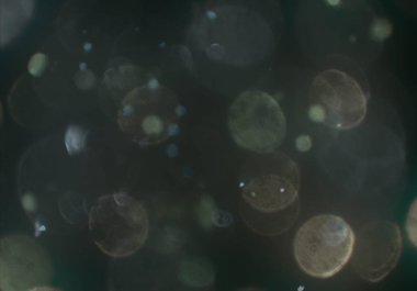 bokeh ile sanat soyut arka plan 