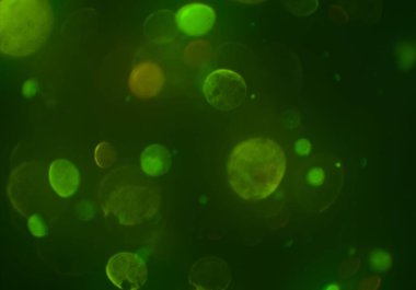 bokeh ile sanat soyut arka plan 