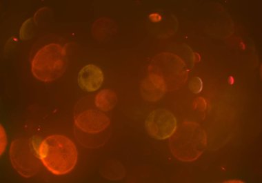 Bokeh ile soyut arkaplan