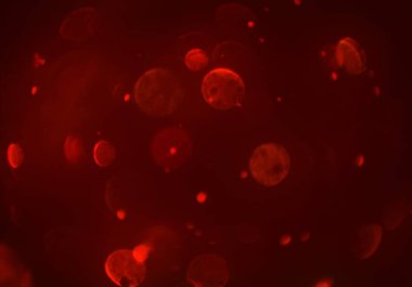 soyut arkaplan, kopyalama alanı