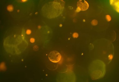 metin veya görüntü için alan ile bokeh arka plan