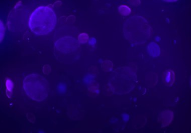 parlak bokeh ışıkları ile dijital duvar kağıdı 