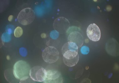 soyut arkaplan, kopyalama alanı