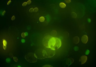 parlak bokeh ışıkları ile dijital duvar kağıdı 