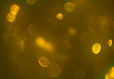 Bokeh ile soyut arkaplan