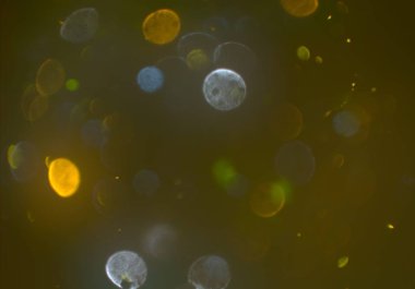 bokeh ile sanat soyut arka plan 