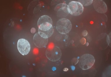 bokeh ile sanat soyut arka plan 