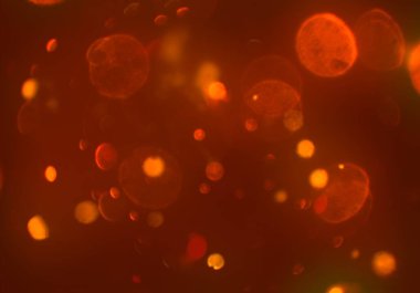 bokeh ışıkları ile soyut duvar kağıdı