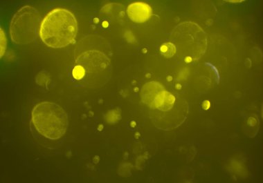 bokeh abstact arka plan ile galaksi