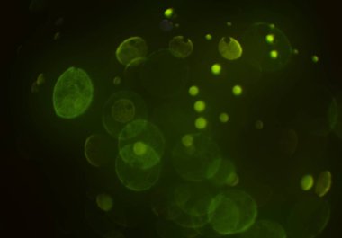 bokeh abstact arka plan ile galaksi